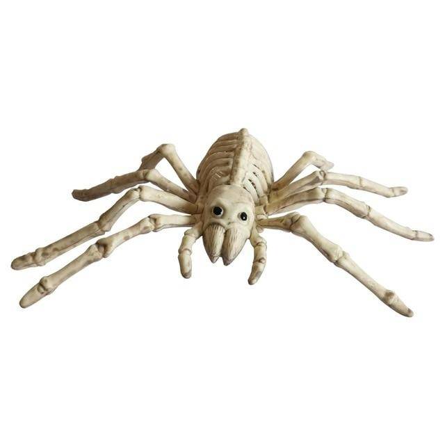 Animal Skeletons