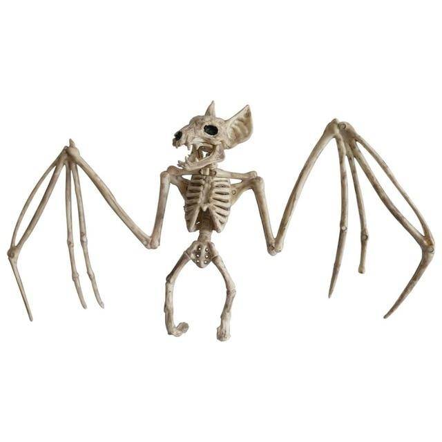 Animal Skeletons