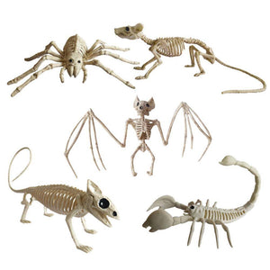 Animal Skeletons