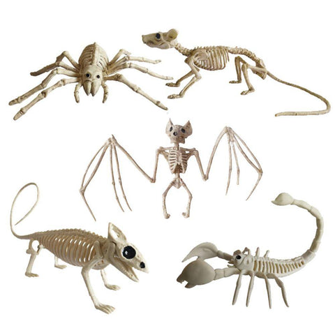 Image of Animal Skeletons