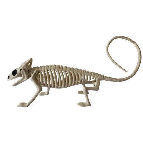 Image of Animal Skeletons